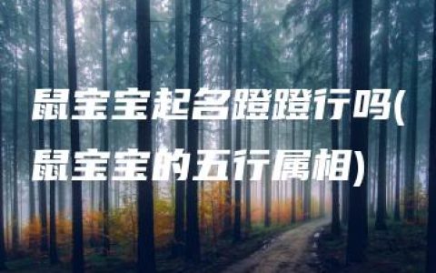 鼠宝宝起名蹬蹬行吗(鼠宝宝的五行属相)