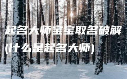 起名大师宝宝取名破解(什么是起名大师)