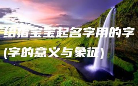 给猪宝宝起名字用的字(字的意义与象征)