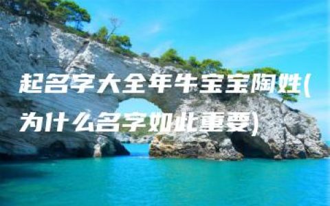 起名字大全年牛宝宝陶姓(为什么名字如此重要)