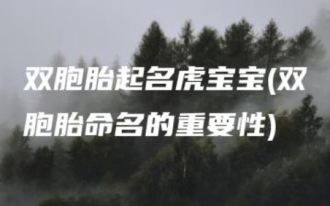 双胞胎起名虎宝宝(双胞胎命名的重要性)