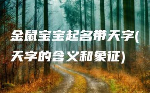 金鼠宝宝起名带天字(天字的含义和象征)