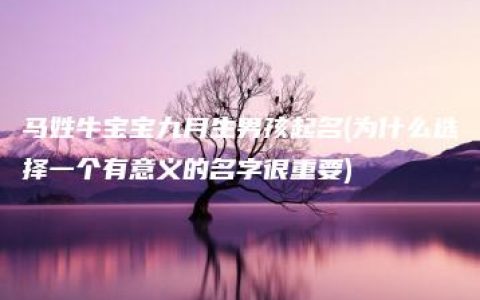 马姓牛宝宝九月生男孩起名(为什么选择一个有意义的名字很重要)