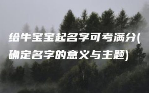 给牛宝宝起名字可考满分(确定名字的意义与主题)