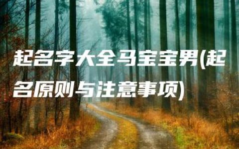 起名字大全马宝宝男(起名原则与注意事项)