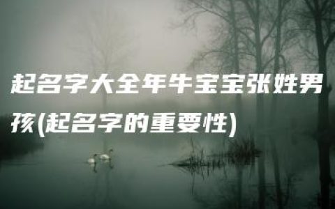 起名字大全年牛宝宝张姓男孩(起名字的重要性)