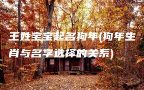 王姓宝宝起名狗年(狗年生肖与名字选择的关系)