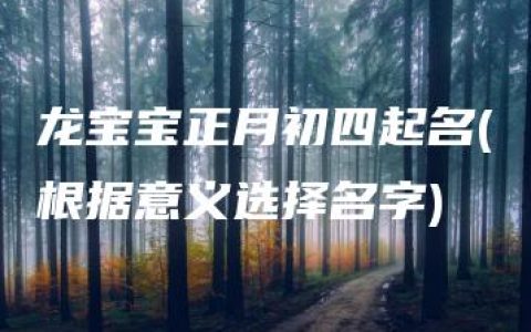 龙宝宝正月初四起名(根据意义选择名字)