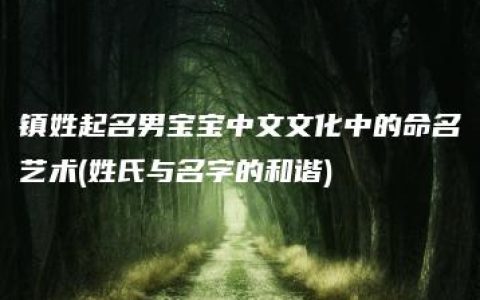 镇姓起名男宝宝中文文化中的命名艺术(姓氏与名字的和谐)