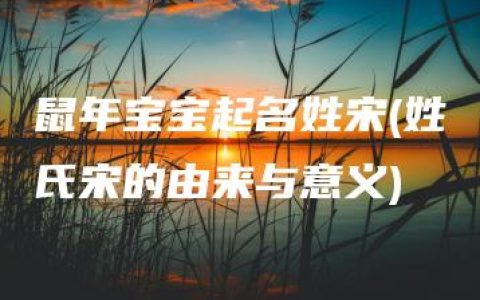 鼠年宝宝起名姓宋(姓氏宋的由来与意义)