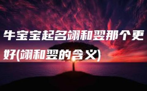 牛宝宝起名翊和翌那个更好(翊和翌的含义)