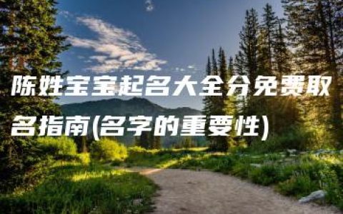 陈姓宝宝起名大全分免费取名指南(名字的重要性)