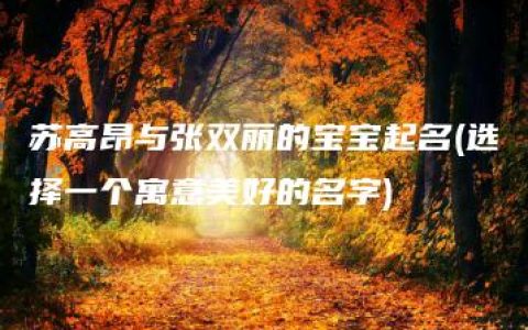 苏高昂与张双丽的宝宝起名(选择一个寓意美好的名字)