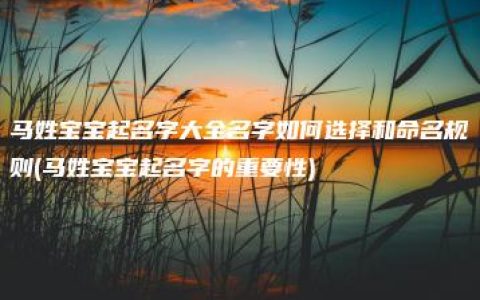 马姓宝宝起名字大全名字如何选择和命名规则(马姓宝宝起名字的重要性)