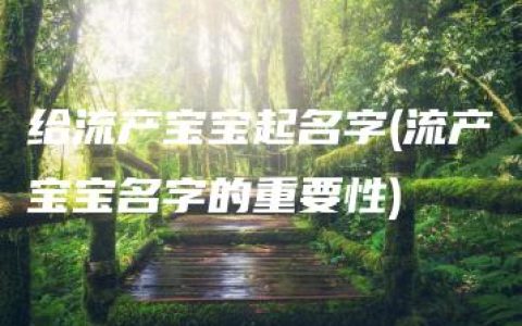 给流产宝宝起名字(流产宝宝名字的重要性)