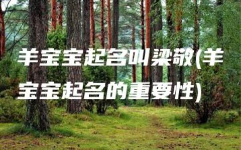 羊宝宝起名叫梁敬(羊宝宝起名的重要性)