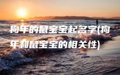 狗年的鼠宝宝起名字(狗年和鼠宝宝的相关性)