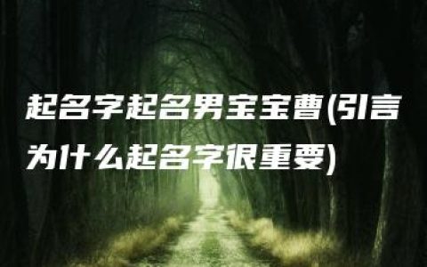 起名字起名男宝宝曹(引言为什么起名字很重要)