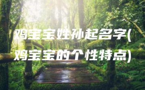 鸡宝宝姓孙起名字(鸡宝宝的个性特点)