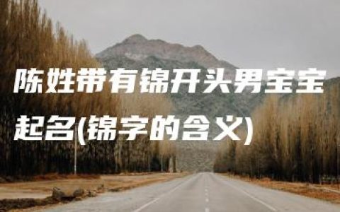 陈姓带有锦开头男宝宝起名(锦字的含义)