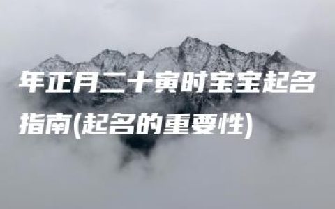 年正月二十寅时宝宝起名指南(起名的重要性)