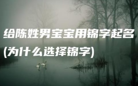 给陈姓男宝宝用锦字起名(为什么选择锦字)