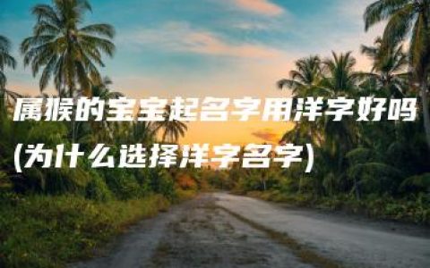 属猴的宝宝起名字用洋字好吗(为什么选择洋字名字)