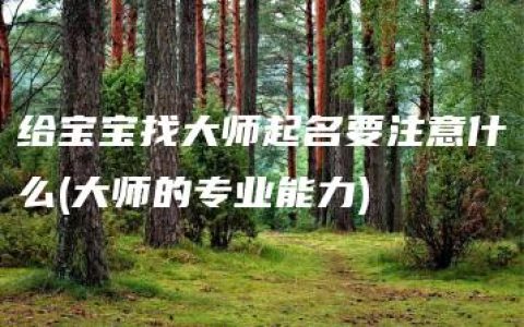 给宝宝找大师起名要注意什么(大师的专业能力)