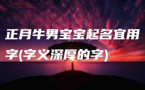 正月牛男宝宝起名宜用字(字义深厚的字)