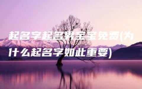 起名字起名男宝宝免费(为什么起名字如此重要)