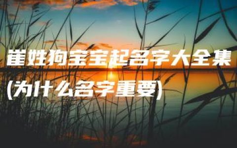 崔姓狗宝宝起名字大全集(为什么名字重要)