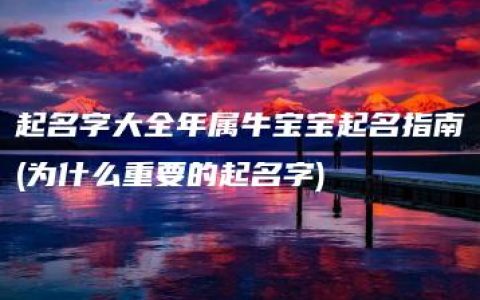 起名字大全年属牛宝宝起名指南(为什么重要的起名字)