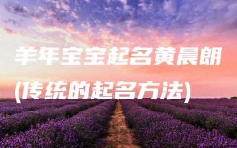 羊年宝宝起名黄晨朗(传统的起名方法)