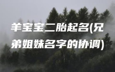 羊宝宝二胎起名(兄弟姐妹名字的协调)