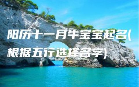 阳历十一月牛宝宝起名(根据五行选择名字)