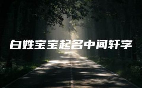 白姓宝宝起名中间轩字