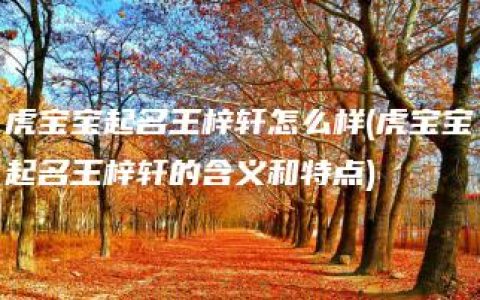 虎宝宝起名王梓轩怎么样(虎宝宝起名王梓轩的含义和特点)