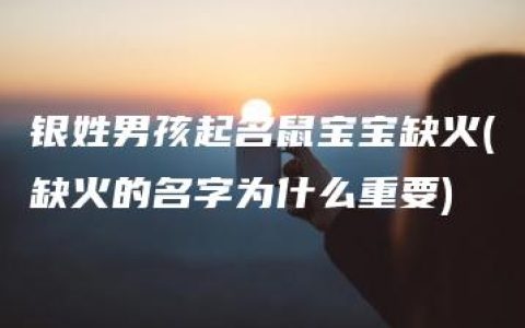 银姓男孩起名鼠宝宝缺火(缺火的名字为什么重要)