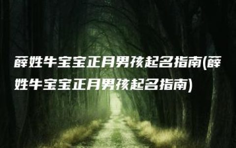 薛姓牛宝宝正月男孩起名指南(薛姓牛宝宝正月男孩起名指南)