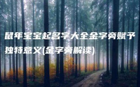 鼠年宝宝起名字大全金字旁赋予独特意义(金字旁解读)