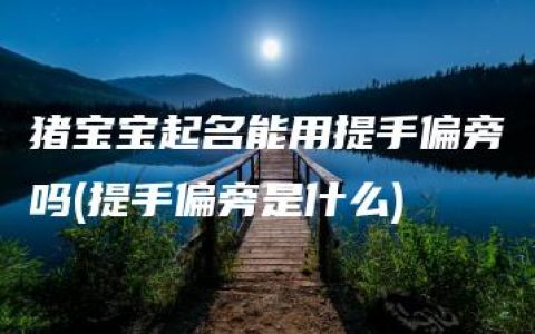 猪宝宝起名能用提手偏旁吗(提手偏旁是什么)