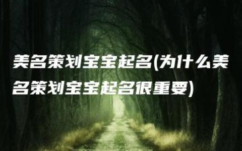 美名策划宝宝起名(为什么美名策划宝宝起名很重要)