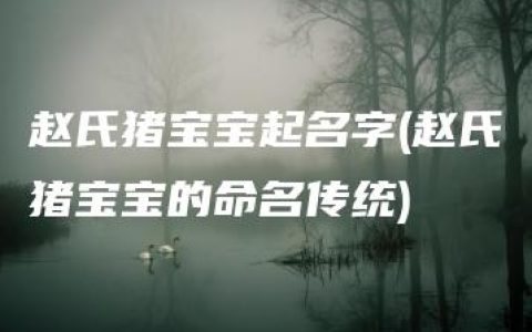 赵氏猪宝宝起名字(赵氏猪宝宝的命名传统)