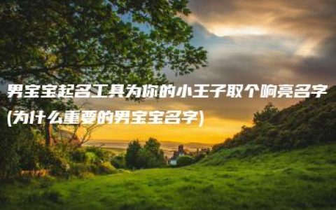 男宝宝起名工具为你的小王子取个响亮名字(为什么重要的男宝宝名字)