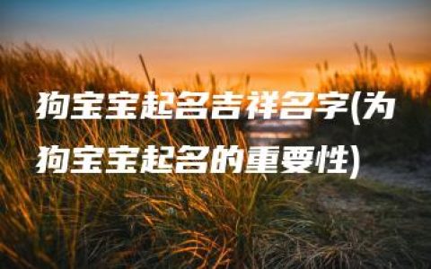 狗宝宝起名吉祥名字(为狗宝宝起名的重要性)