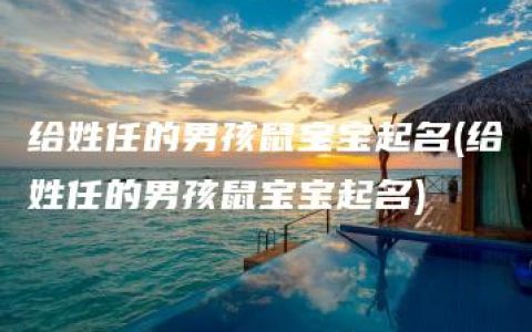 给姓任的男孩鼠宝宝起名(给姓任的男孩鼠宝宝起名)