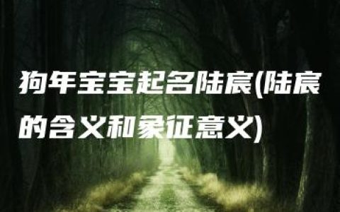 狗年宝宝起名陆宸(陆宸的含义和象征意义)