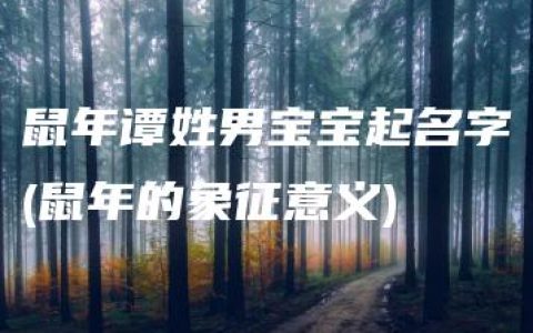 鼠年谭姓男宝宝起名字(鼠年的象征意义)