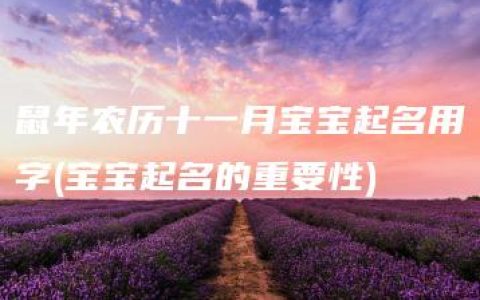 鼠年农历十一月宝宝起名用字(宝宝起名的重要性)