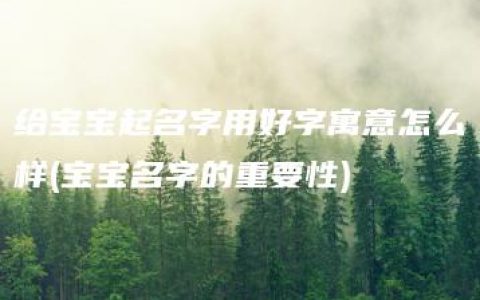 给宝宝起名字用好字寓意怎么样(宝宝名字的重要性)